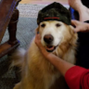 Meet your Posher, Jackson